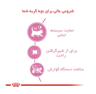 Royal Canin Mother & Babycat Starter