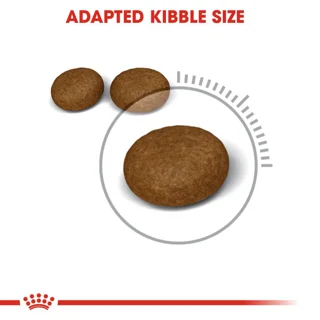 Hair and Skin Care Royal Canin