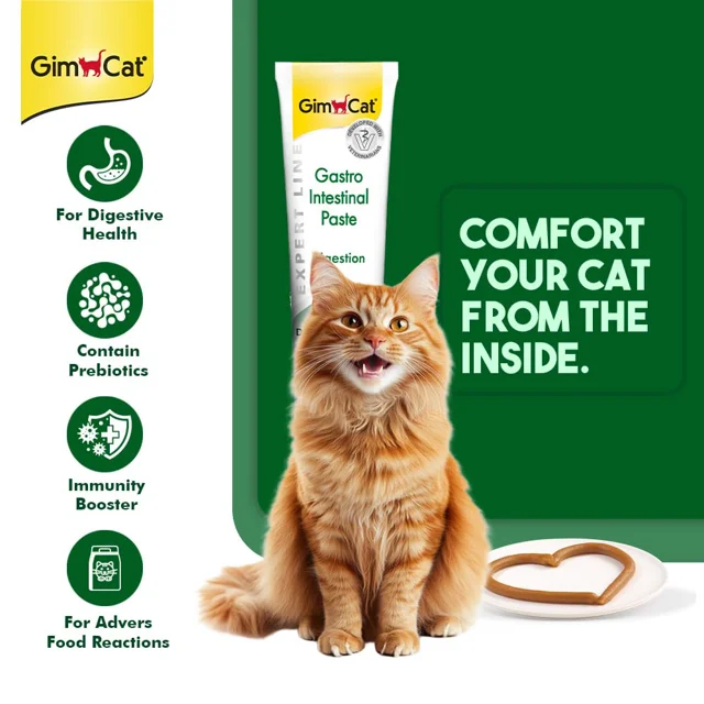 GimCat Gastro Intestinal Paste