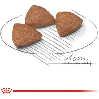 mini adult indoor royal canin