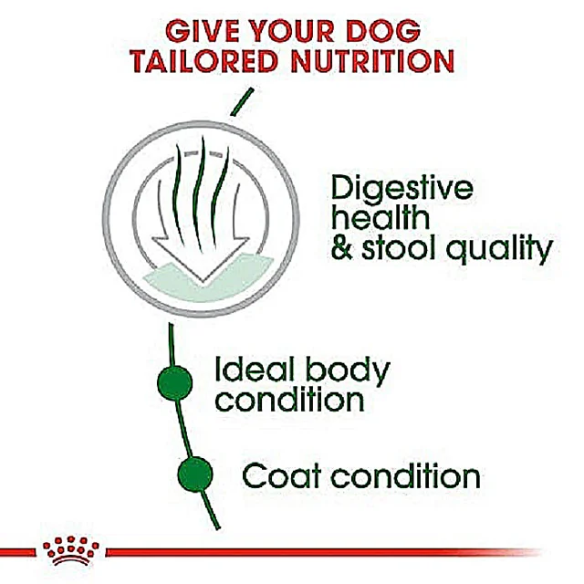 mini adult indoor royal canin