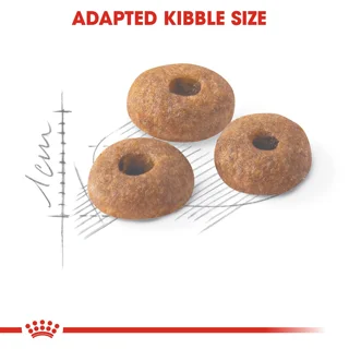 Royal Canin Regular Fit