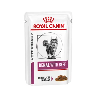 پوچ گربه رنال با طمع ماهی رویال کنین